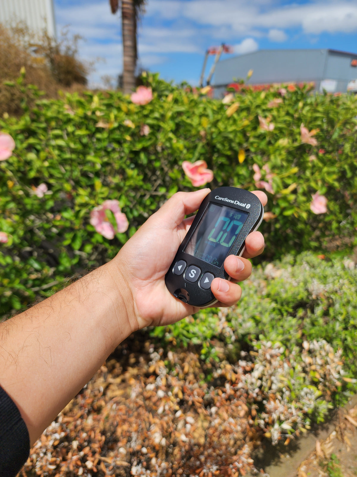 Regular monitoring of blood glucose levels